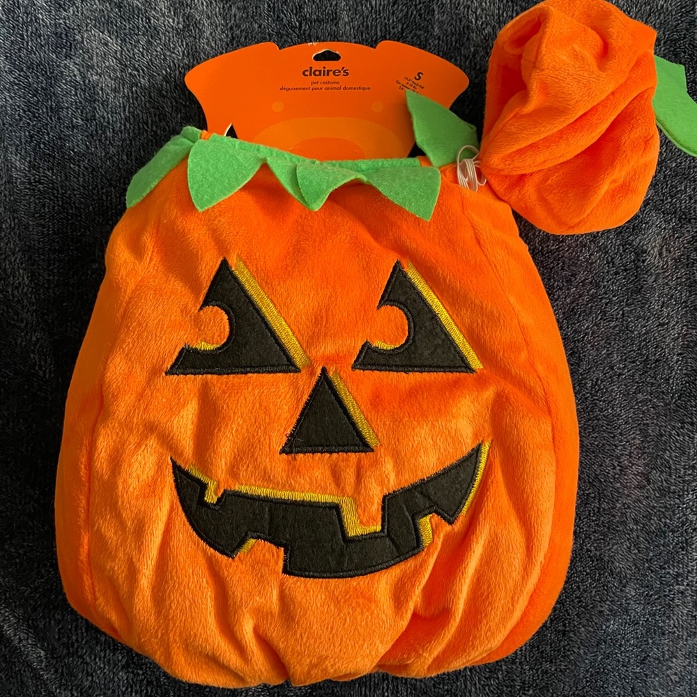 NWT Pumpkin Pet Costume